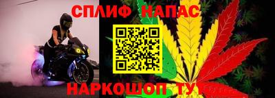 мяу мяу кристалл Кинель