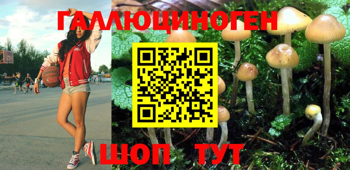 даркнет сайт  Галлюциногенные грибы мицелий  Вход с VPN  Кстово 